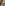 CHA1704N_CHBRNSFO_05_1752822290000