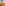 CHA1704N_CHBRNUTJ_05_1752822324000