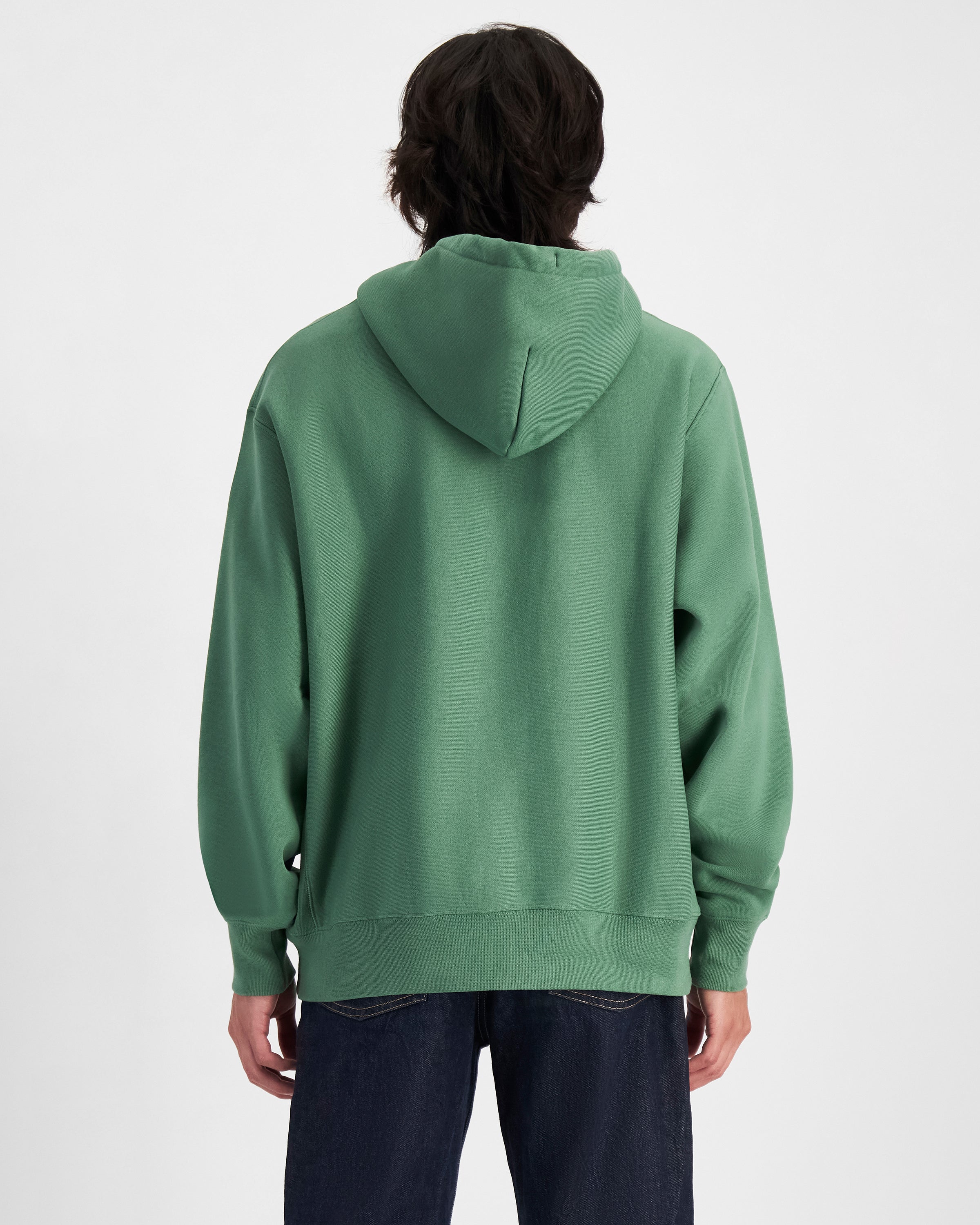 CHA1704N_CHGRNVLB_3_1747871289000