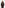 CHCRDAN_CHBRNP5D_1_1745826722000