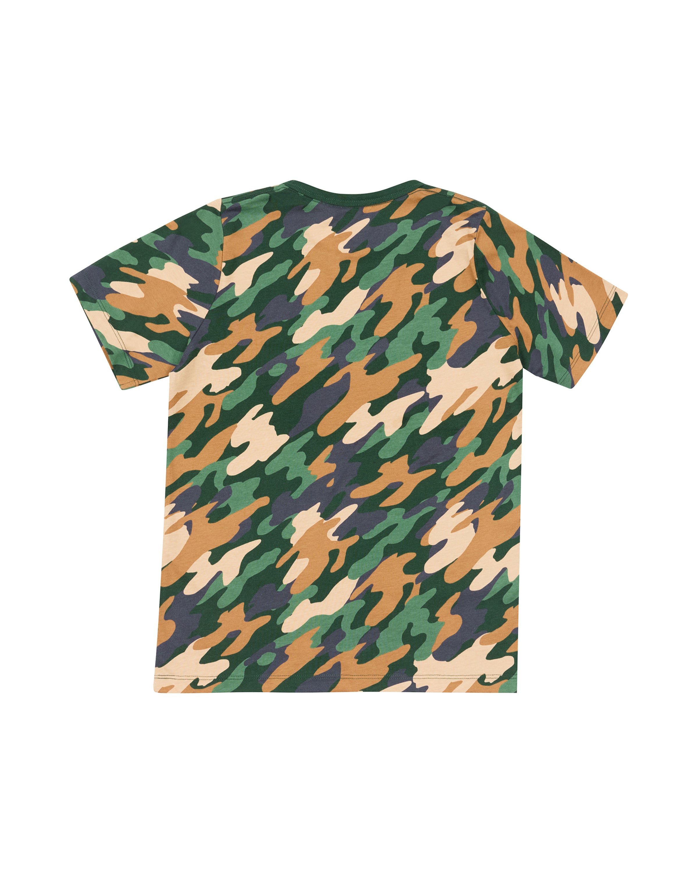 CHKVT6N_CHGRNP4H_2_1747873756000