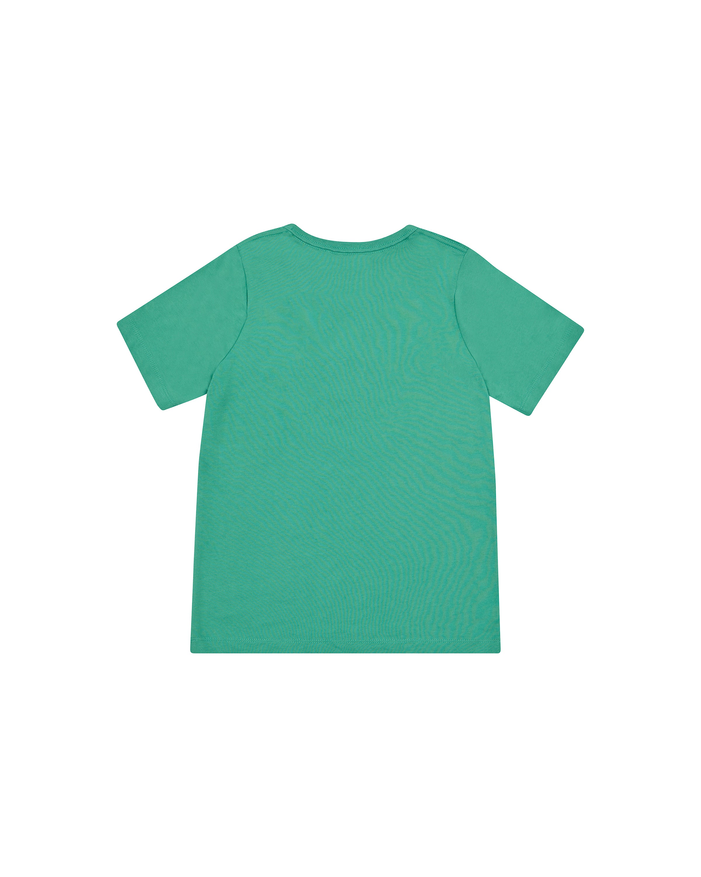 CHKVT6N_CHGRNR6J_2_1747718911000