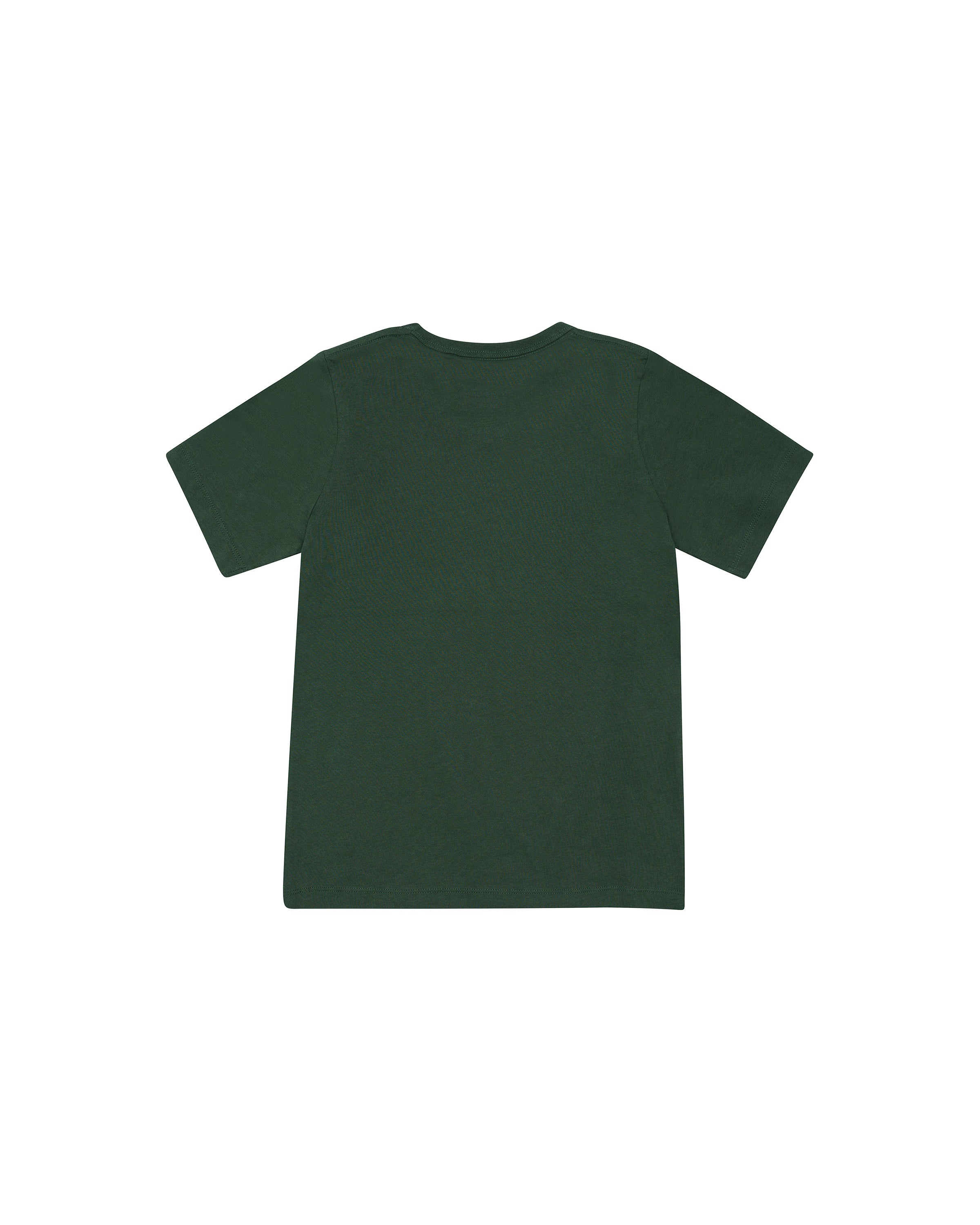 CHKXA8N_CHGRNUVZ_2_1747719155000