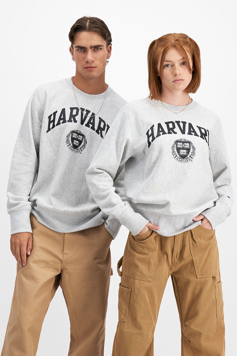 Champion harvard crewneck hotsell