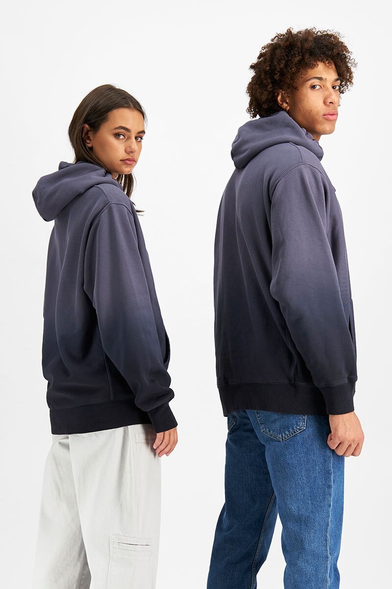 Blue ombre champion hoodie online