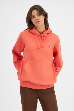 Baby blue hotsell champion hoodie