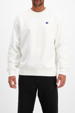 Champion sweatshirt cost online