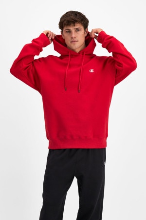 Mens champion jumper deals